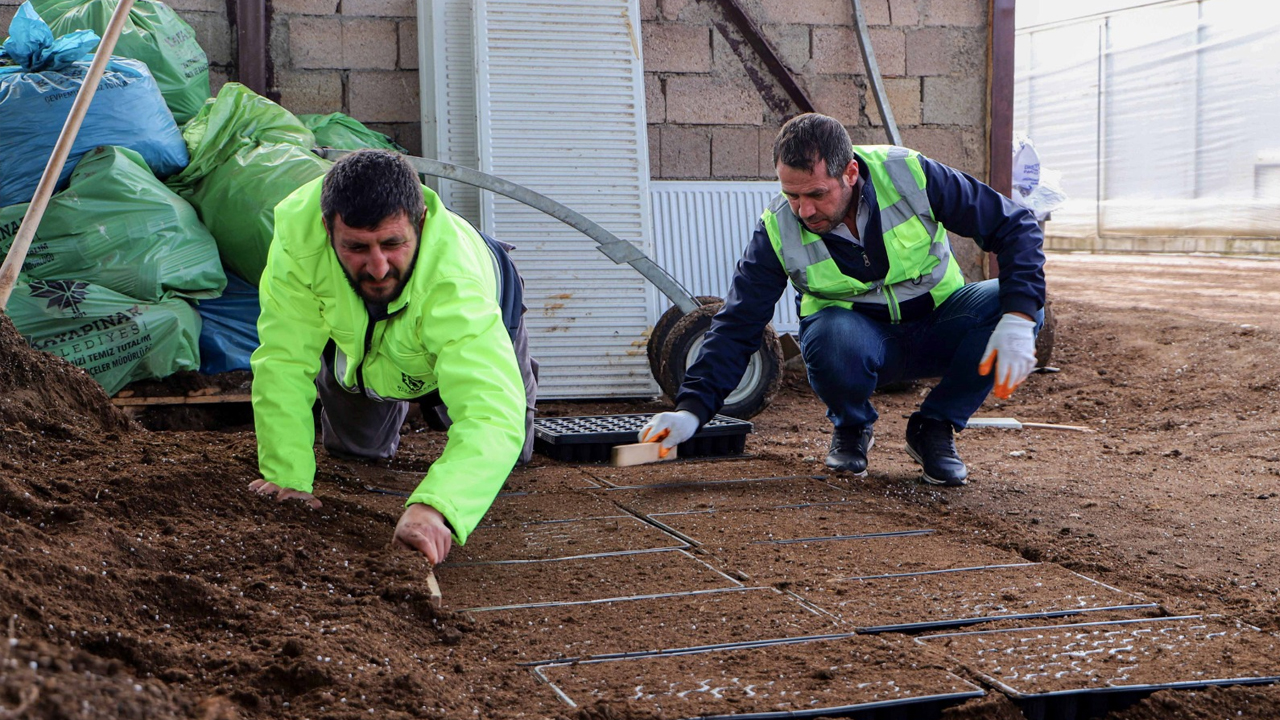 Yerel Tohum Desteği; Oprakla Buluştu, Çiftçiye 300 Bin Fide3