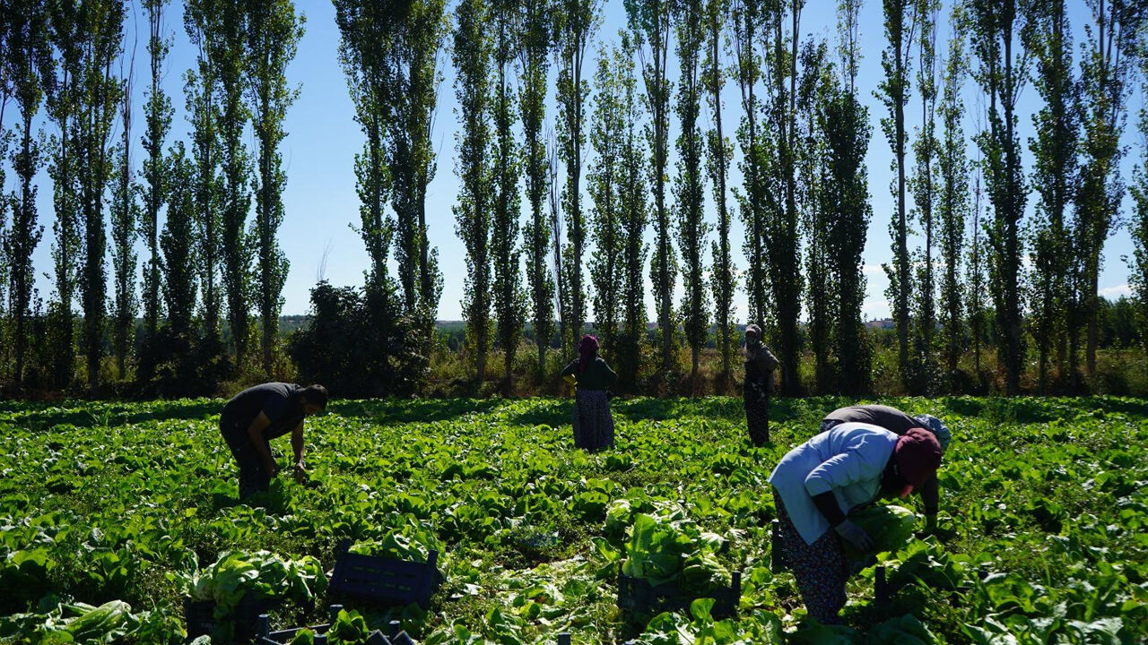 Dicle’nin Hafızası Diyarbakır’da Sanata Dönüşt2