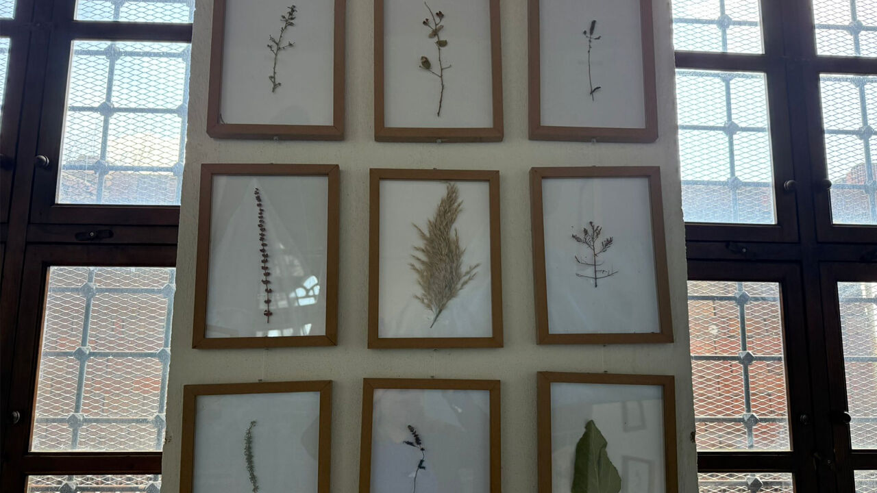 Dicle’nin Hafızası Diyarbakır’da Sanata Dönüşt4