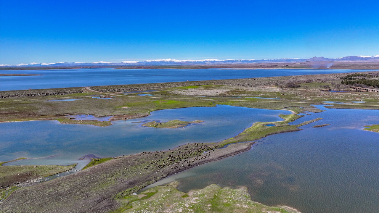 Diyarbakır Devegeçidi Baraj Gölü Hayat Buldu1