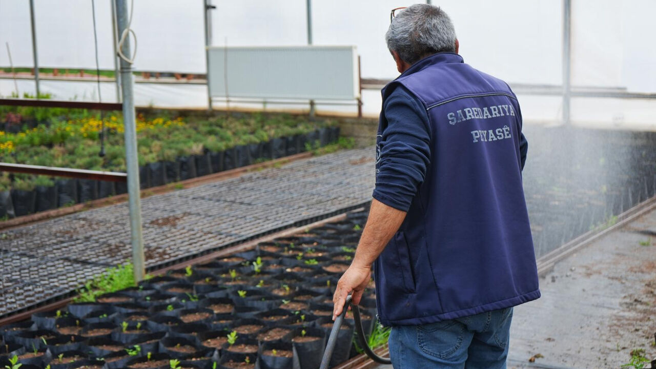 Diyarbakır Meşelenecek