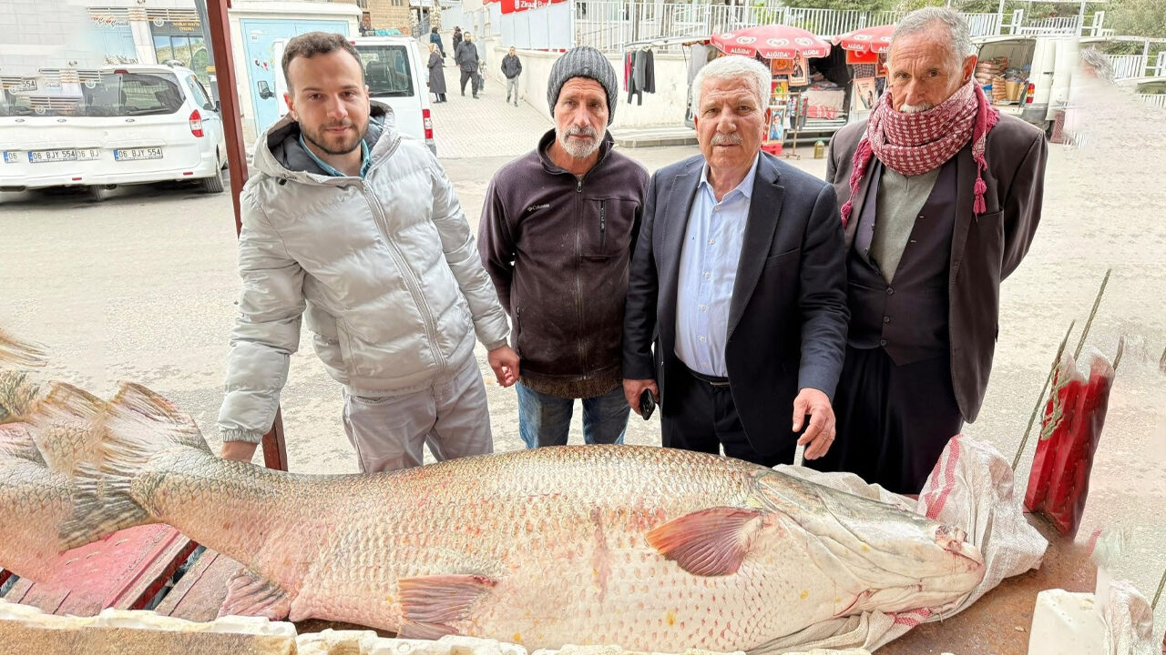 Diyarbakır'da 120 Kiloluk Turna Balığı1