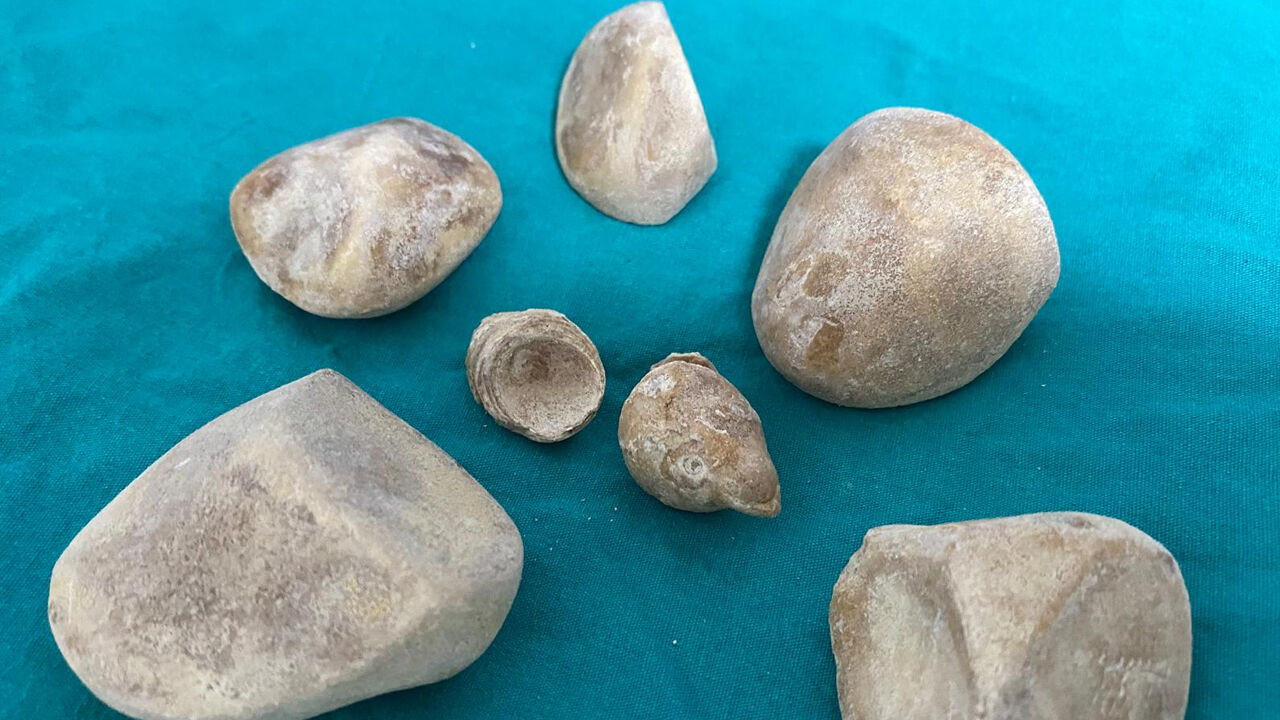 Diyarbakır’da Akıllara Durgunluk Veren Olay2