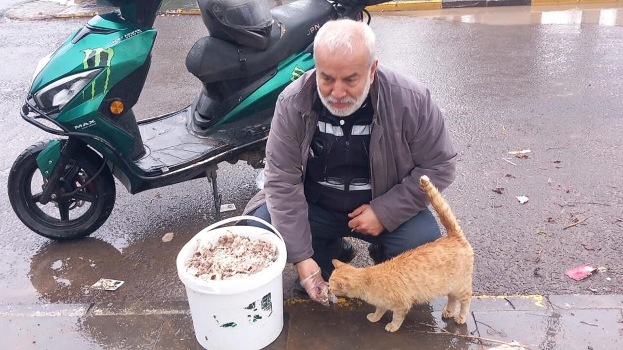 Diyarbakır’da Bayramda Sokak Hayvanları Unutulmadı