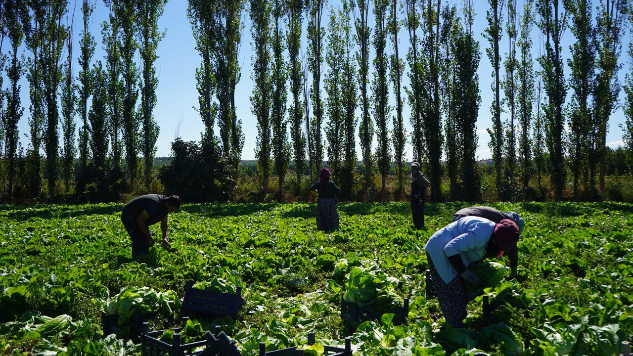 Diyarbakır’da ‘Dicle’nin İzinde’ Sergisi3