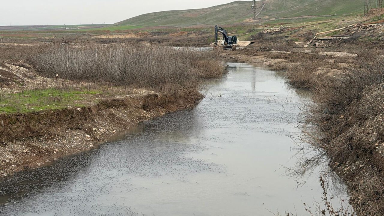 Diyarbakır'da Mahsur Kalan Balıklar Kurtarıldı