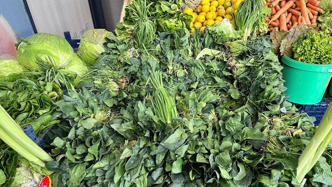 Diyarbakır’da Yeşillik Fiyatları Cep Yakıyor4