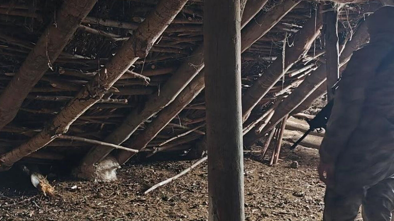 Hakkari’de Ahır Çöktü 5 Hayvan Telef Oldu