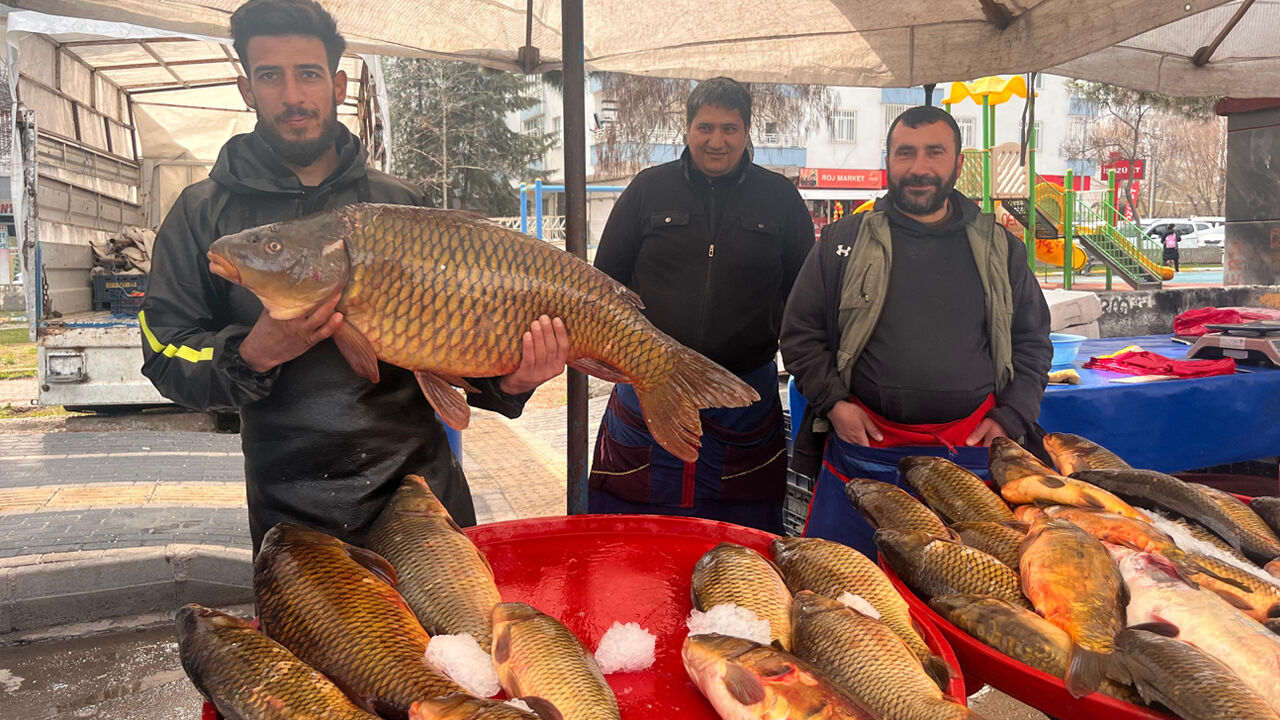 Savaş Ateşi Diyarbakır’daki Semt Pazarını Vurdu1