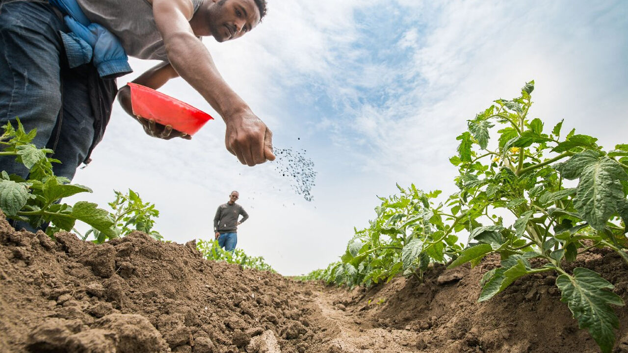 Savaşın Füzesi, Diyarbakır’da Tarlaya Düştü!3