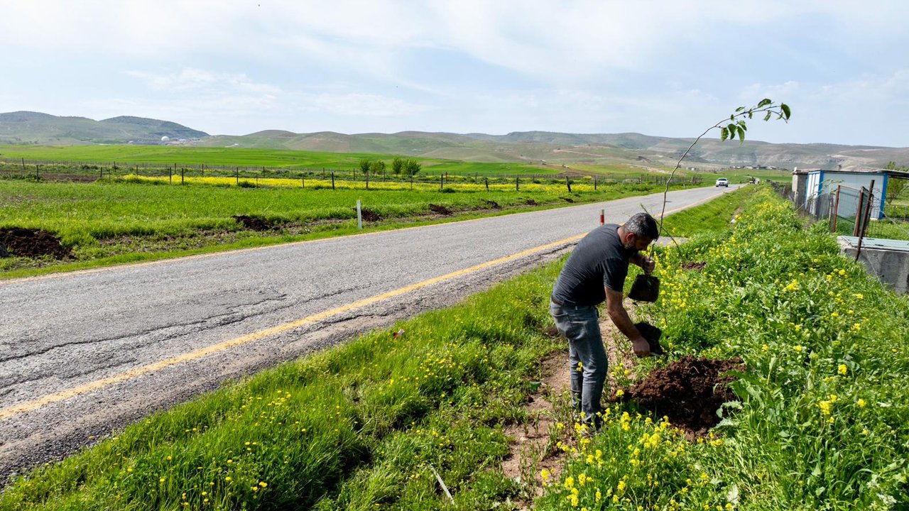Batman'da Köy Yollarına 3 Bin 300 Meyve Fidanı Dikildi