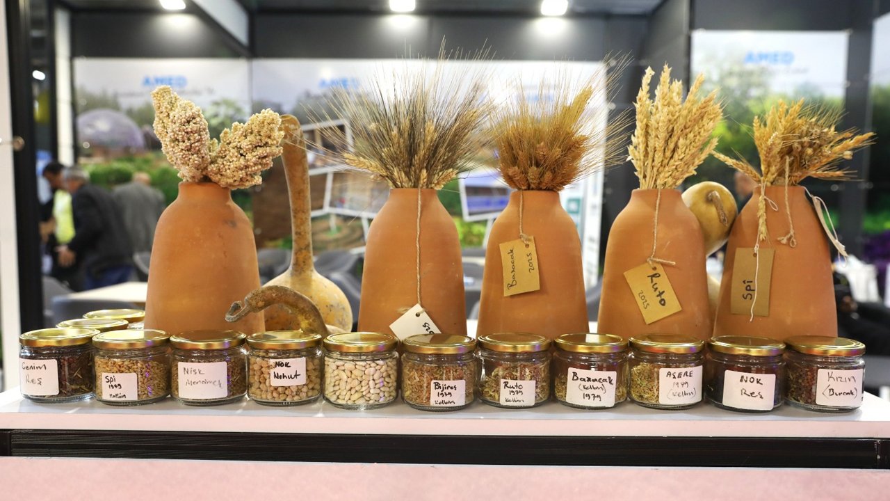 Büyükşehir’den Ekolojik Tohum Desteği