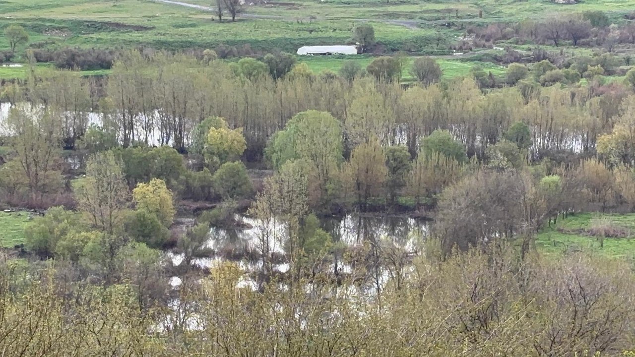 Dicle Nehri Taştı3