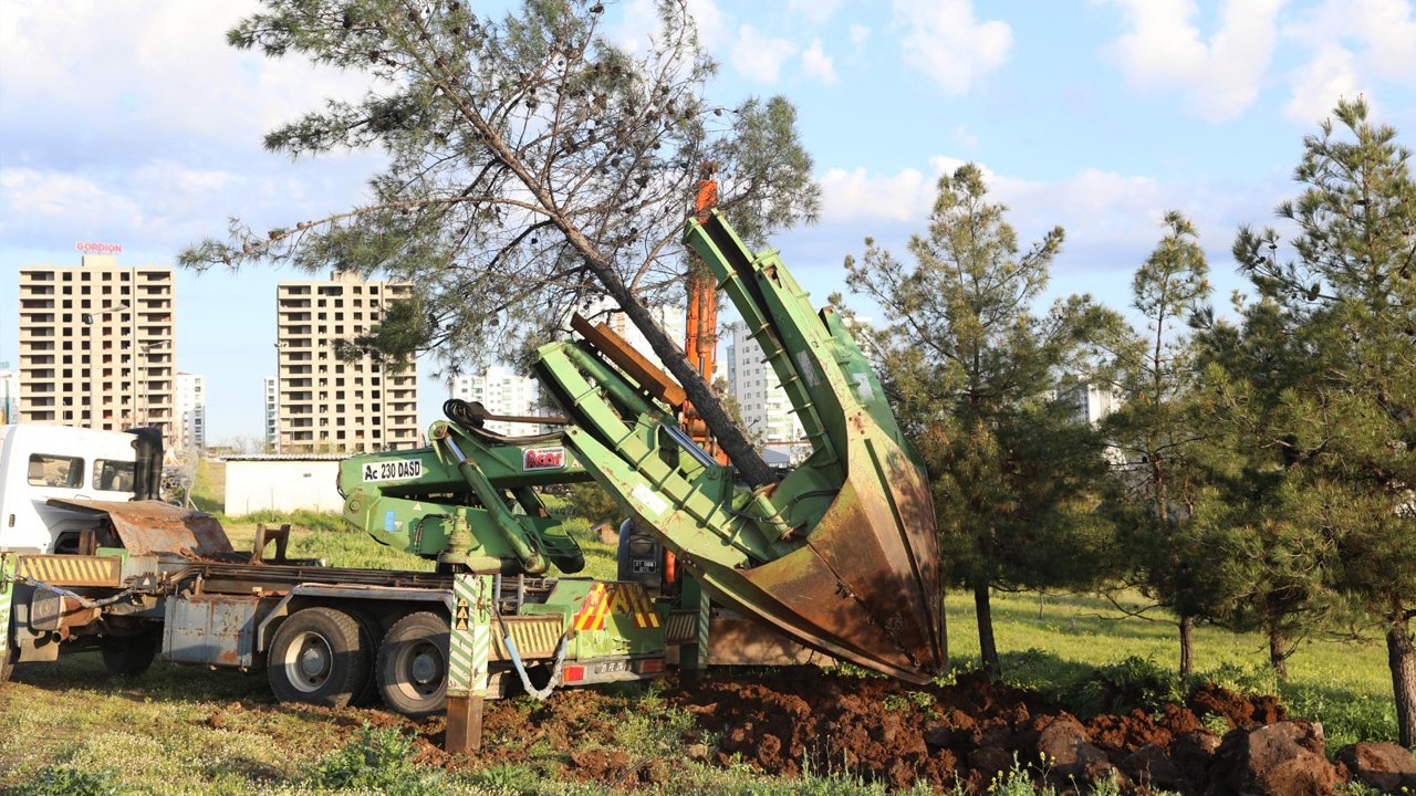 Diyarbakır Belediyesi2