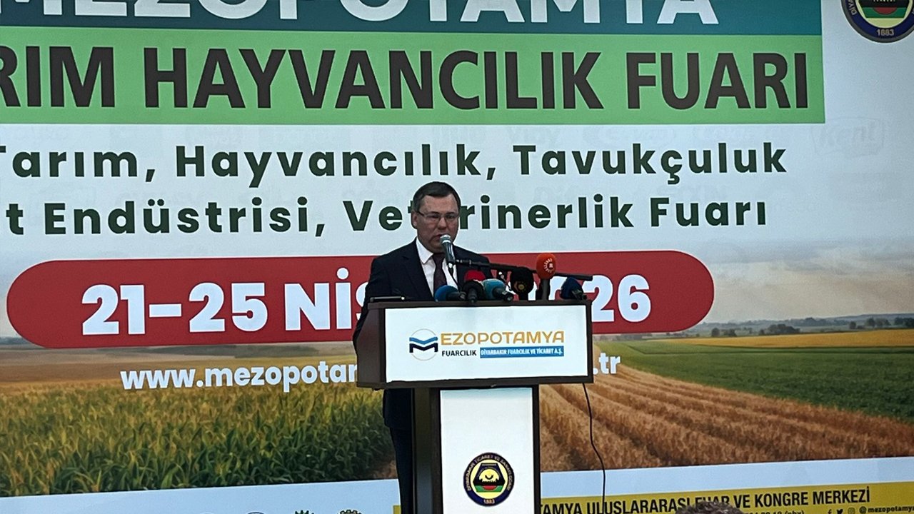 Diyarbakır Hollanda’nın Yarısına Ulaştı3