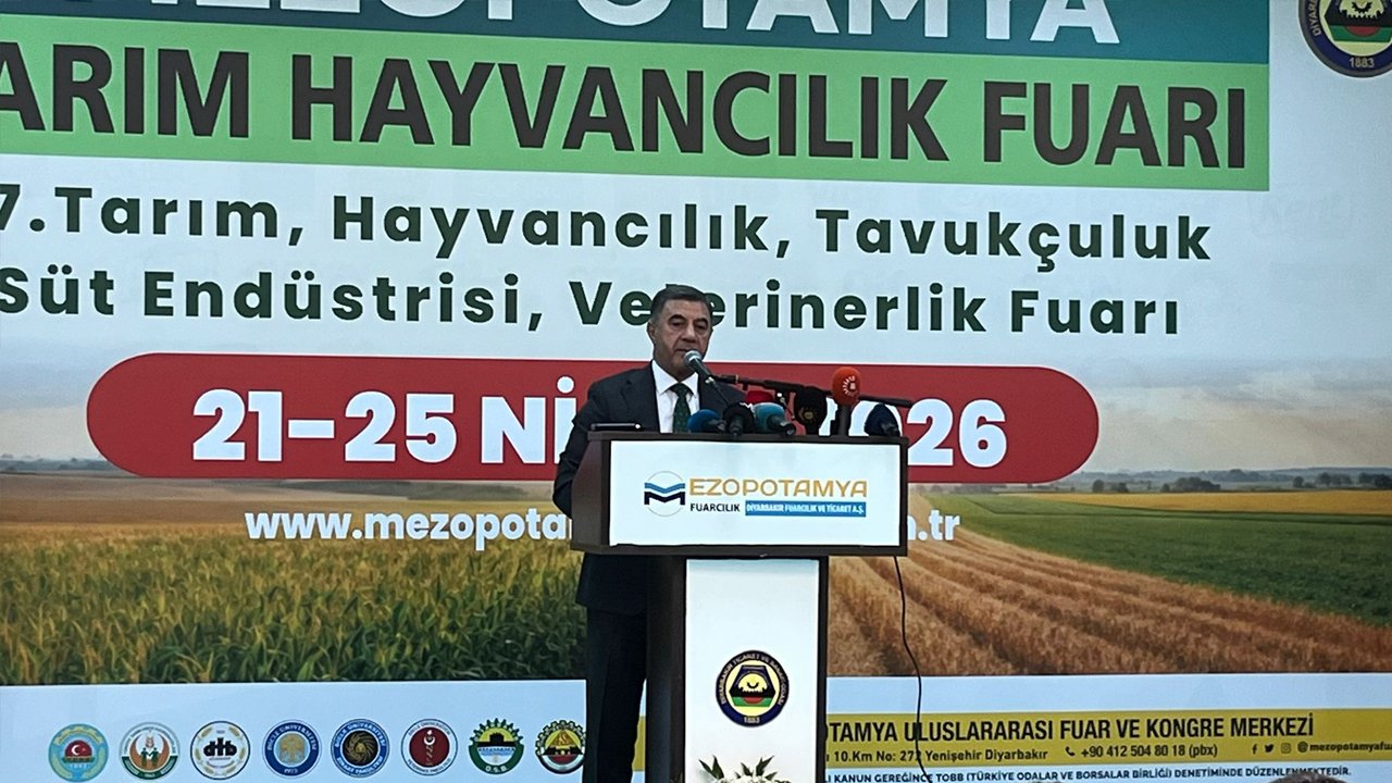 Diyarbakır Hollanda’nın Yarısına Ulaştı4