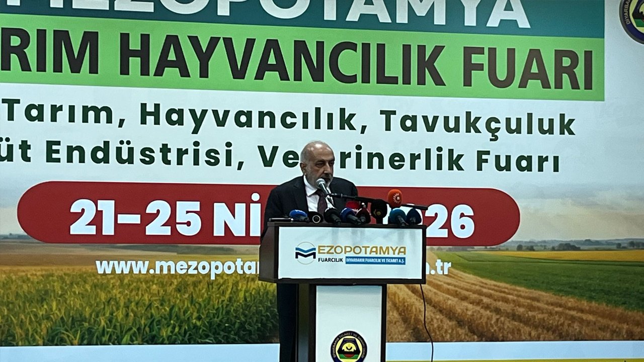 Diyarbakır Hollanda’nın Yarısına Ulaştı6