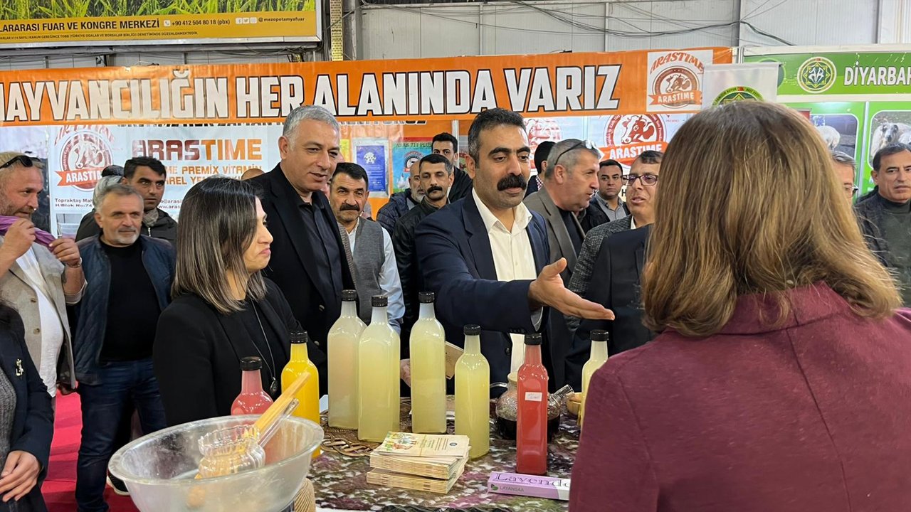 Diyarbakır Hollanda’nın Yarısına Ulaştı7