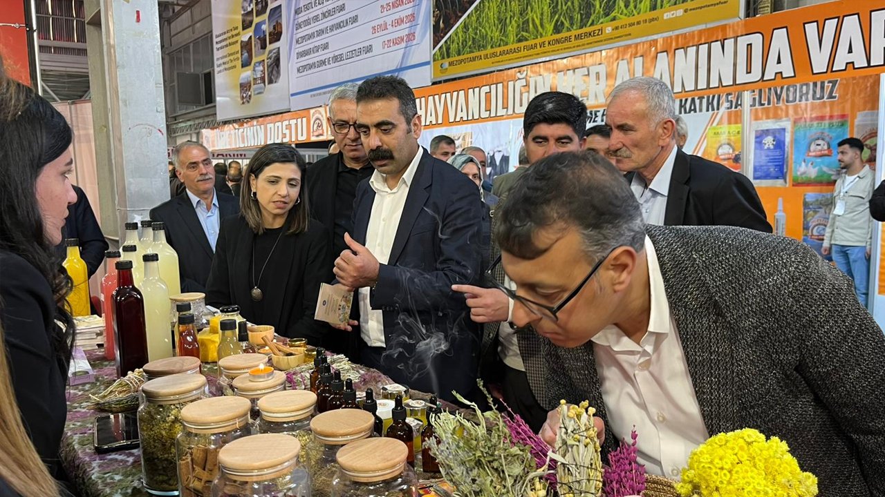 Diyarbakır Hollanda’nın Yarısına Ulaştı8