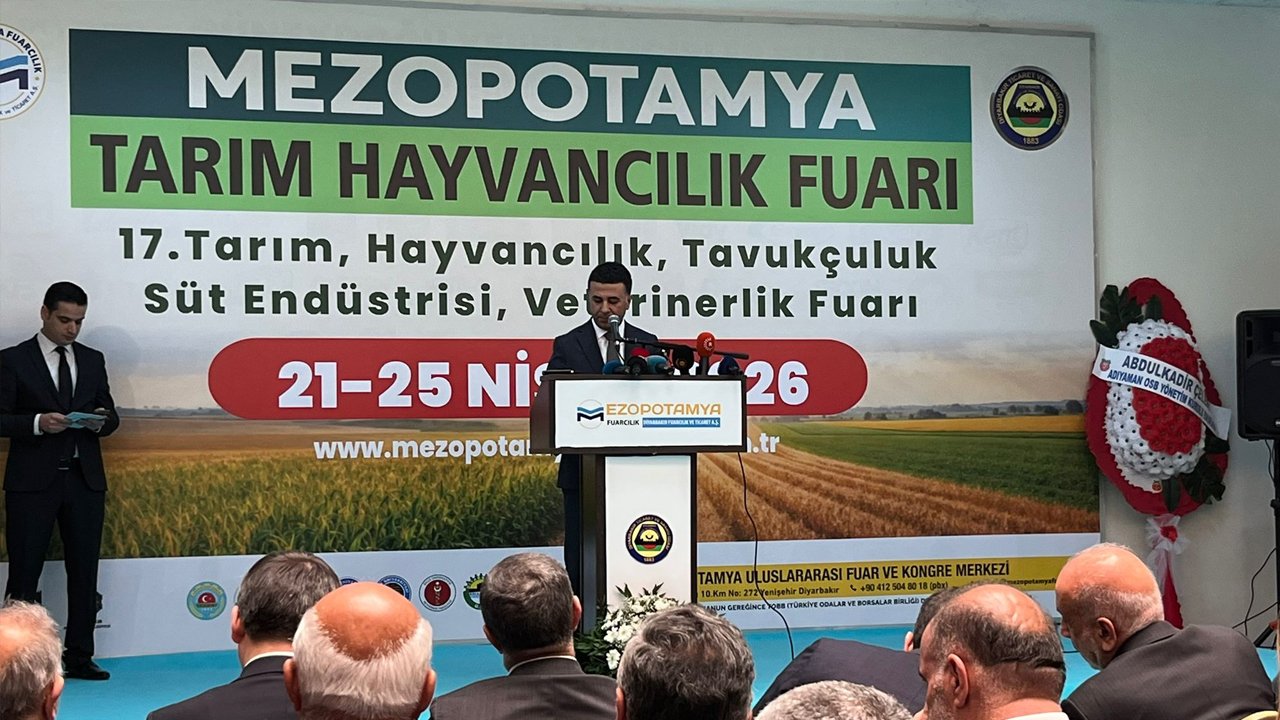 Diyarbakır Hollanda’nın Yarısına Ulaştı9