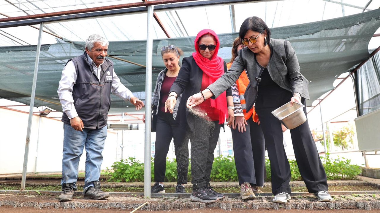 Diyarbakır Yesillenecek2