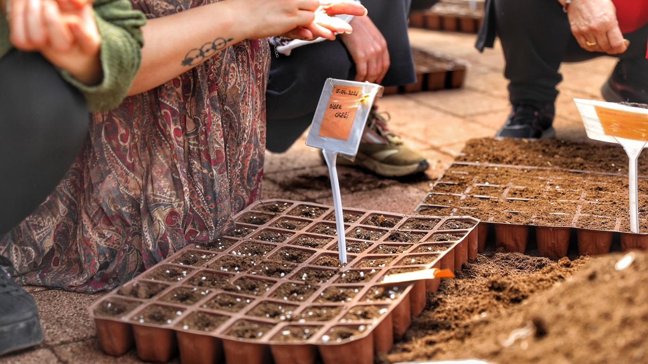 Diyarbakır Yesillenecek3