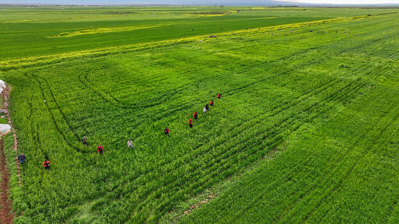 Diyarbakır'da 3 Yaşındaki Çocuk Kayboldu, Dronla Aranıyor1