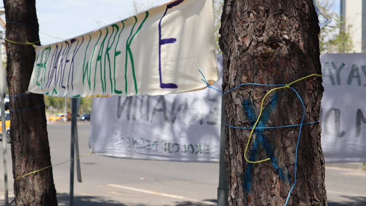 Diyarbakır’da 30 Yıllık Çamlar Için Kavşakta Direniş8