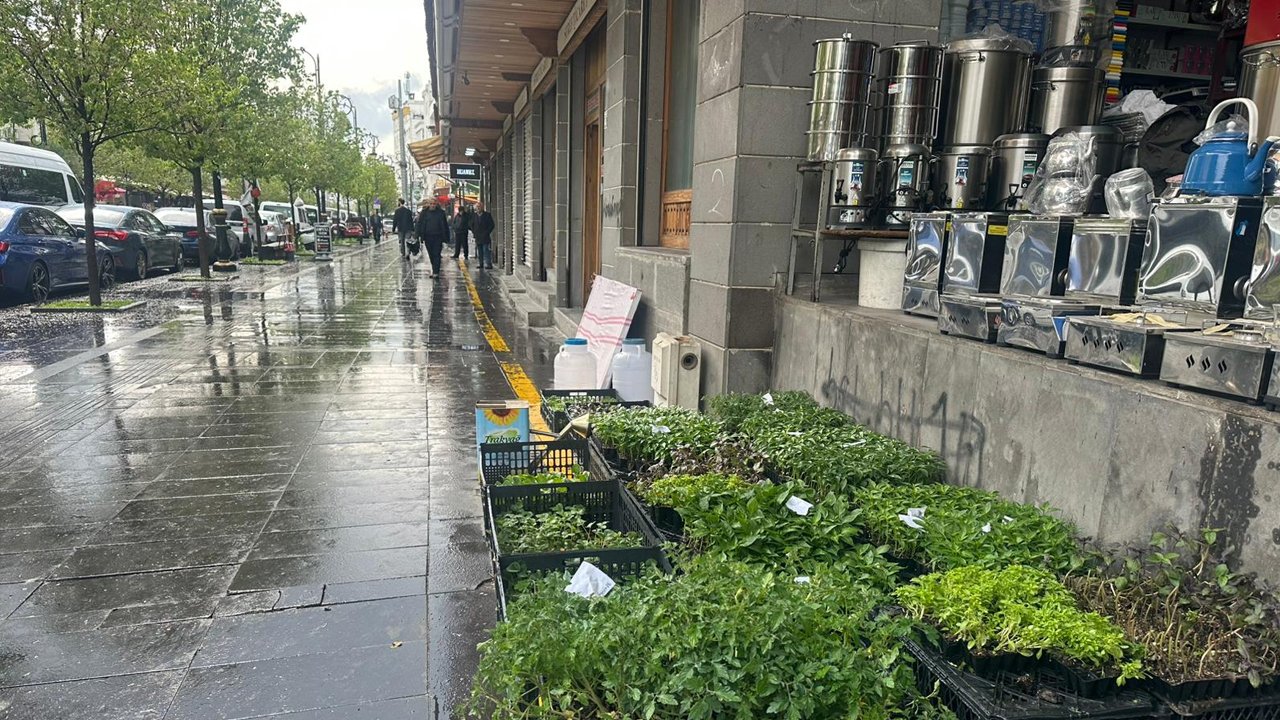 Diyarbakır’da Fidedeki Çeşit Bolluğu Tezgâhları Hareketlendirdi2