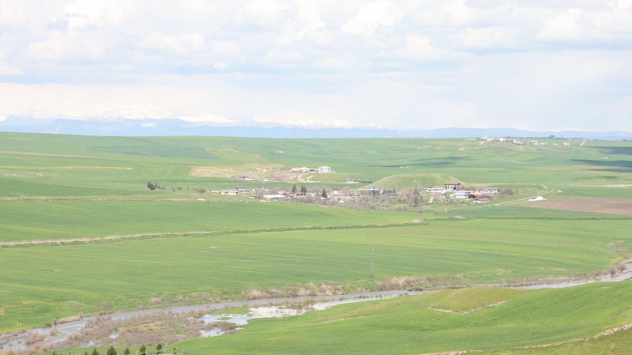 Diyarbakır’da Inanılmaz Iddia1