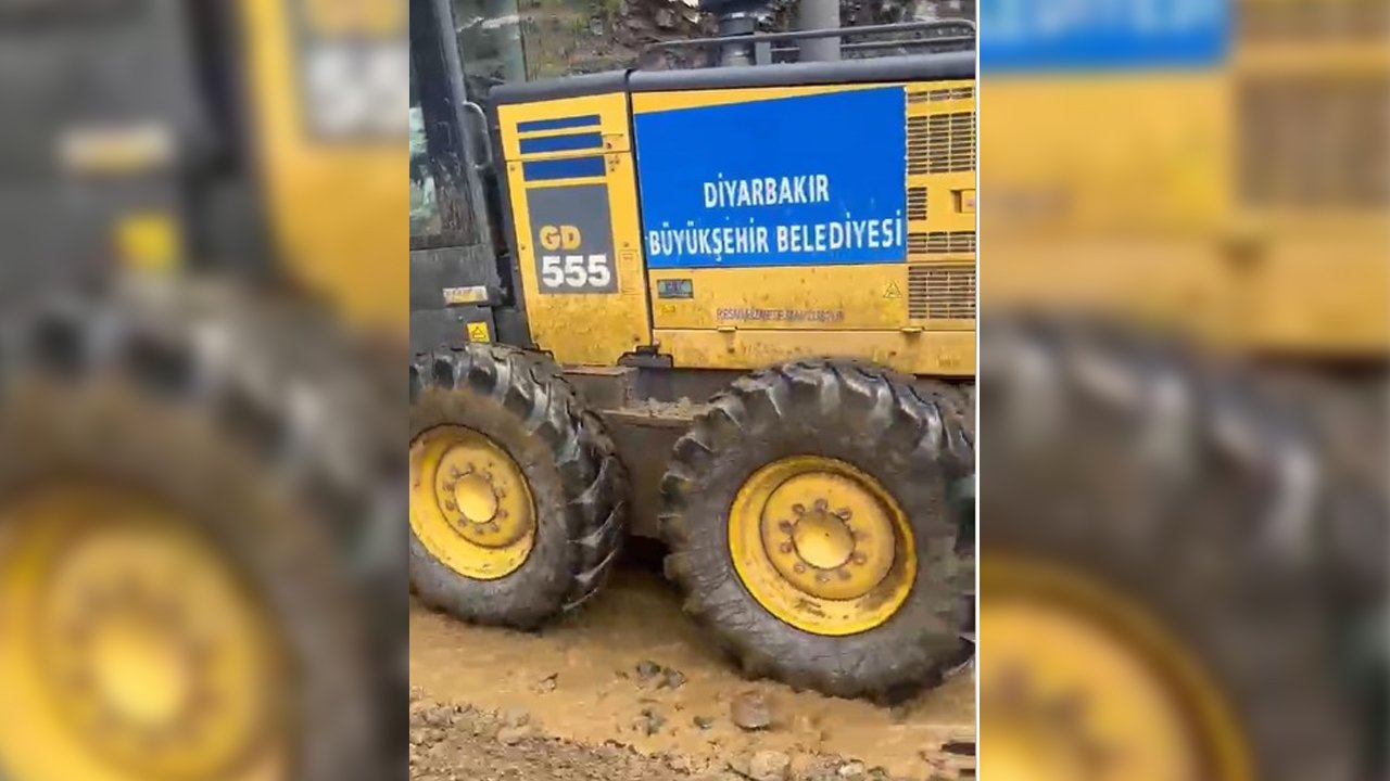 Diyarbakır’da Tartışma Yaratan Ağaç Kesimi2