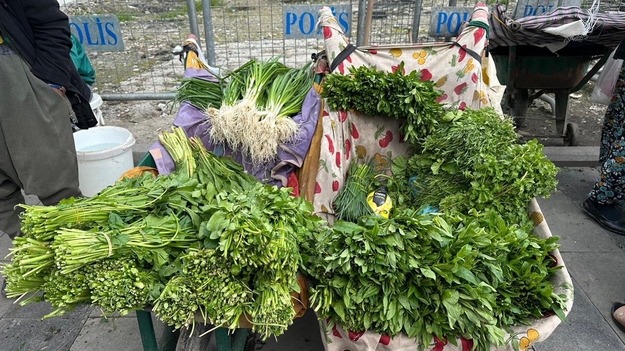 Diyarbakır’da Tezgahlarda Hayat Mücadelesi3