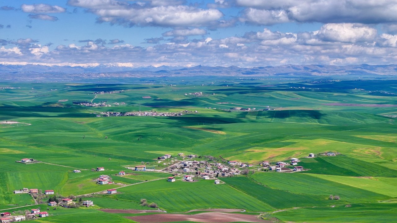 Diyarbakır'da Yağış, Buğdayda Yüksek Verim Beklentisini Artırdı1