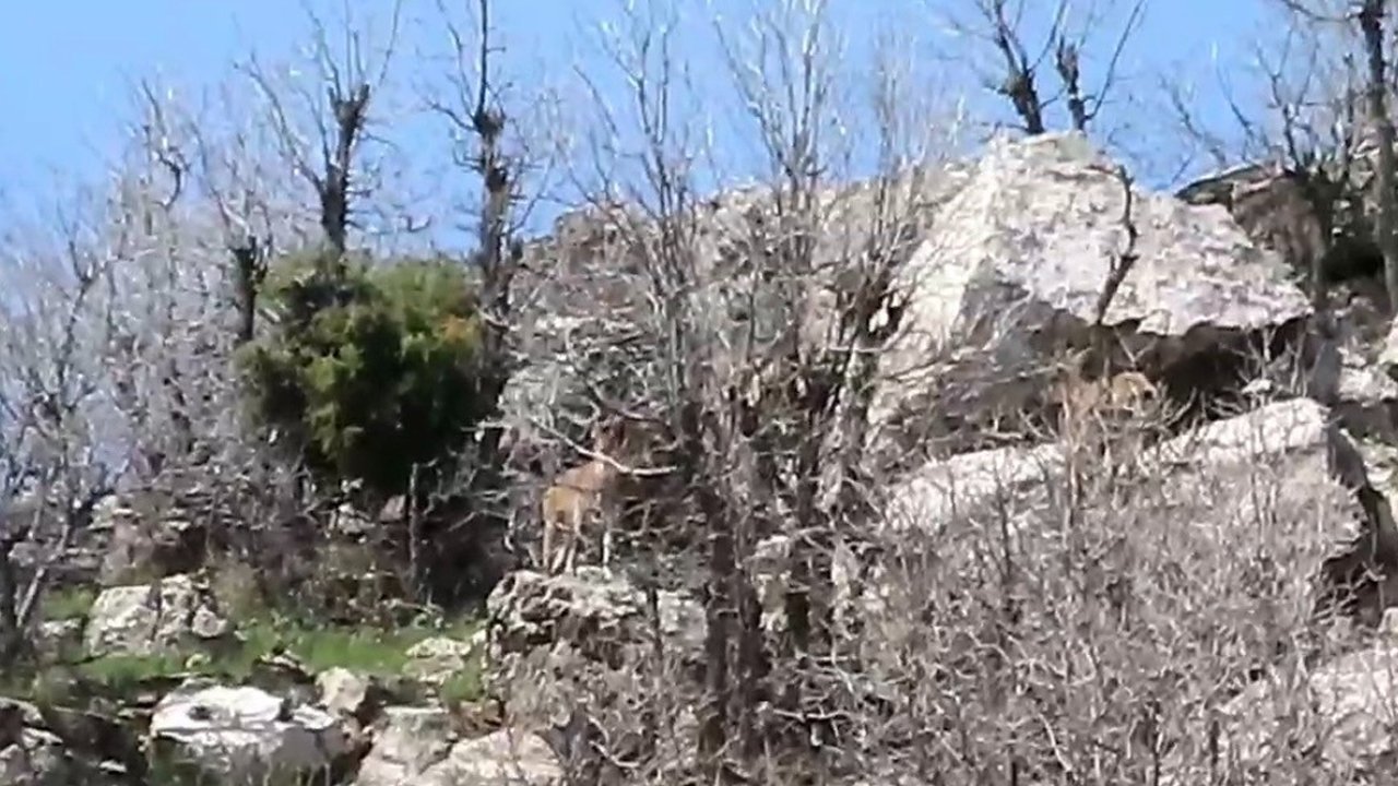 Diyarbakır’daki Dağların Gerçek Sahipleri