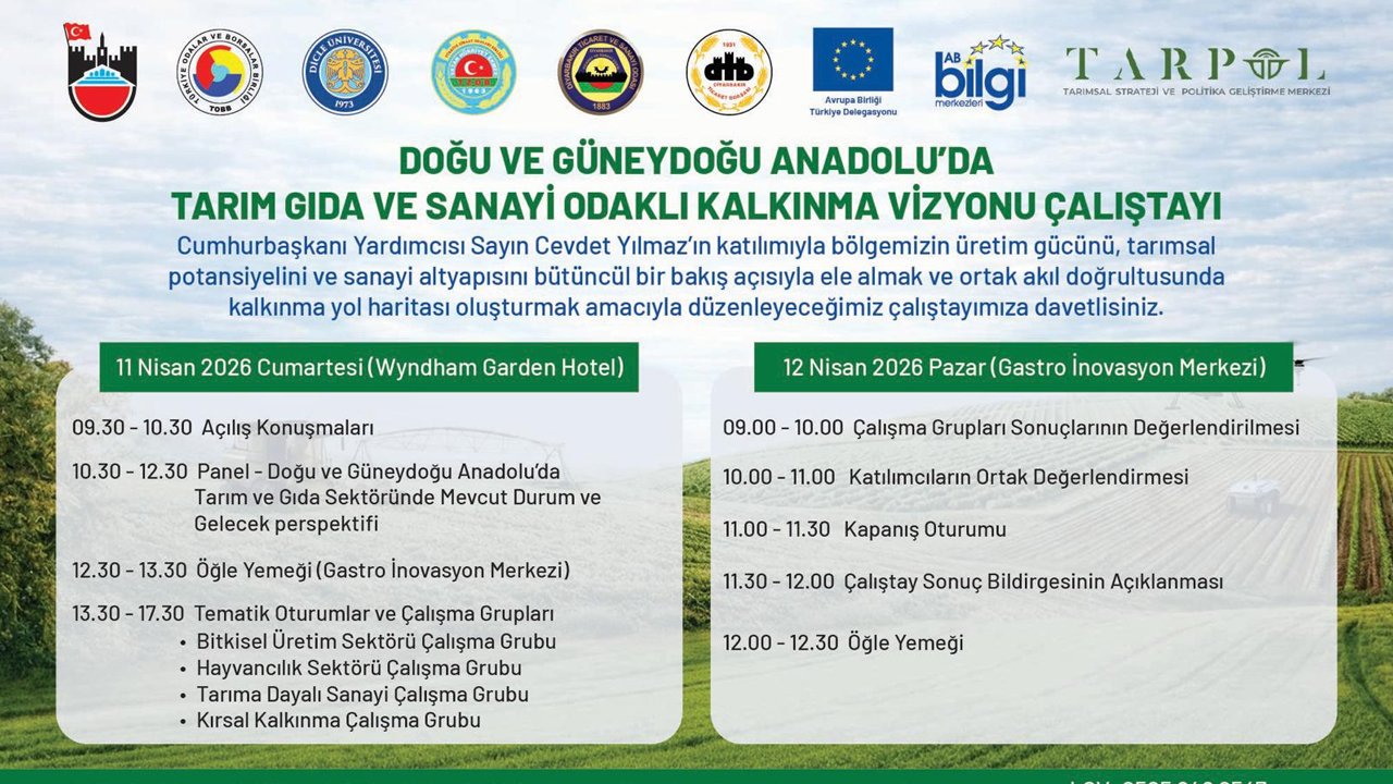 Diyarbakır’daki O Çalıştaya Önemli Isim2