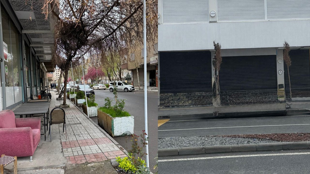 Diyarbakırlı Vekilden Çarpıcı Meksika Benzetmesi2