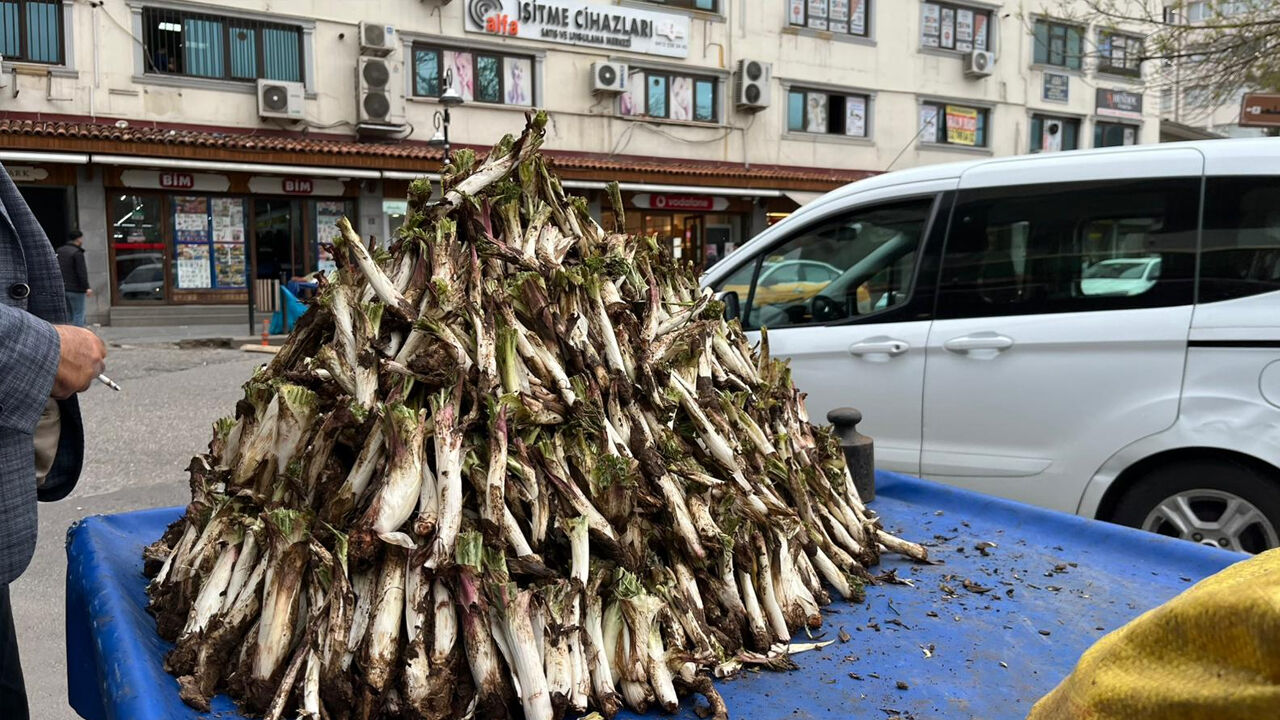 Karacadağ’da Toplanan O Bitki Tezgâhlarda2