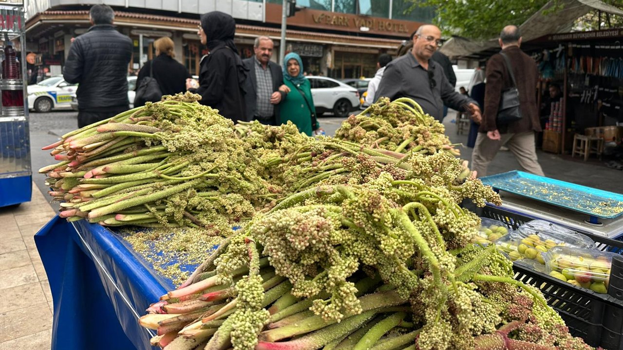 ‘Kürt Muzu’ Diyarbakır’a Pahalı Geldi!2