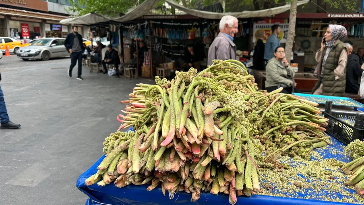 ‘Kürt Muzu’ Diyarbakır’a Pahalı Geldi!3