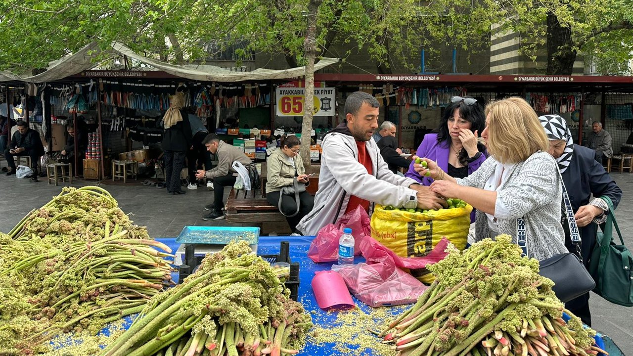 ‘Kürt Muzu’ Diyarbakır’a Pahalı Geldi!4