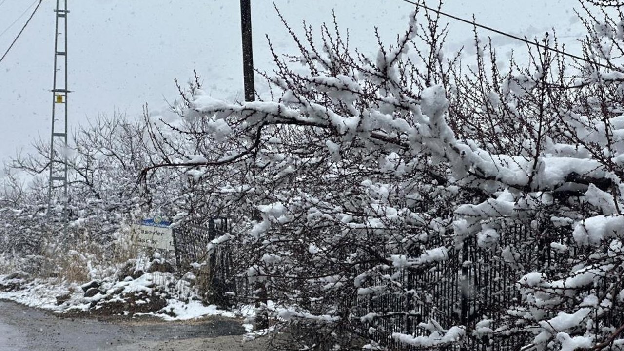 Malatya'da Kayısı Bahçeleri Kar Altında Kaldı2