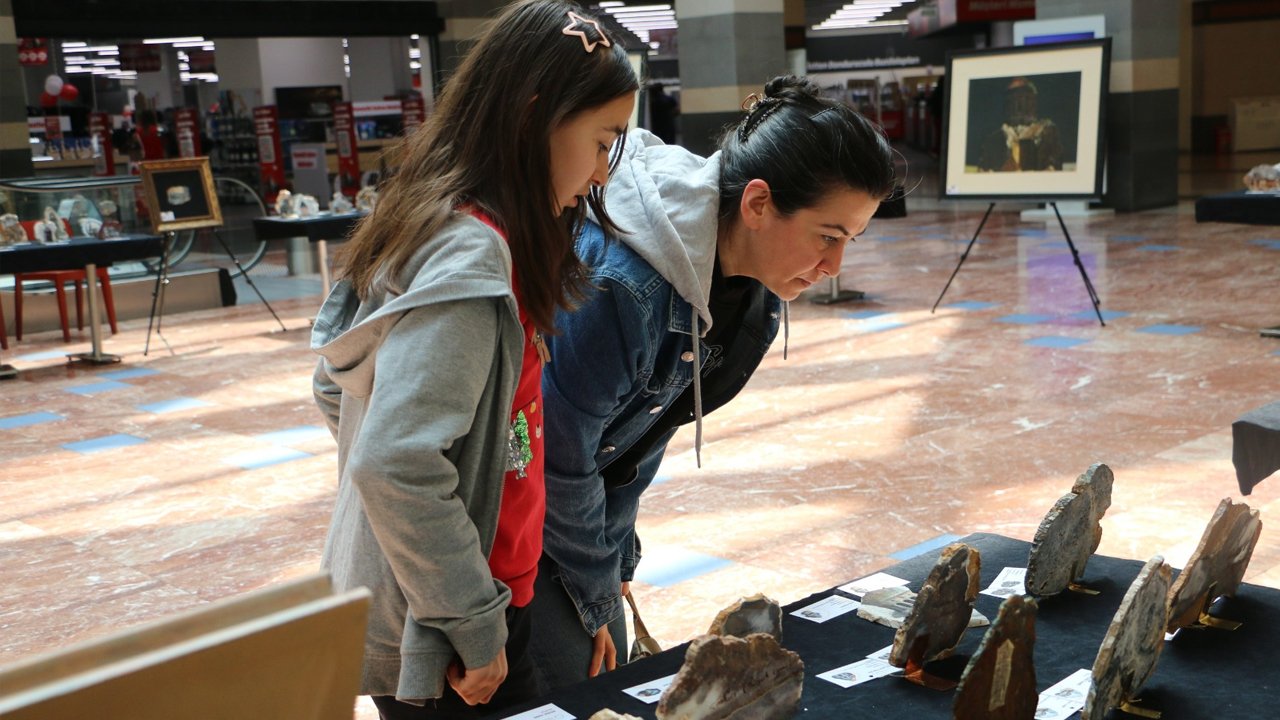 Türkiye’nin Tarihi Yapıları, Diyarbakır'da Buluştu3