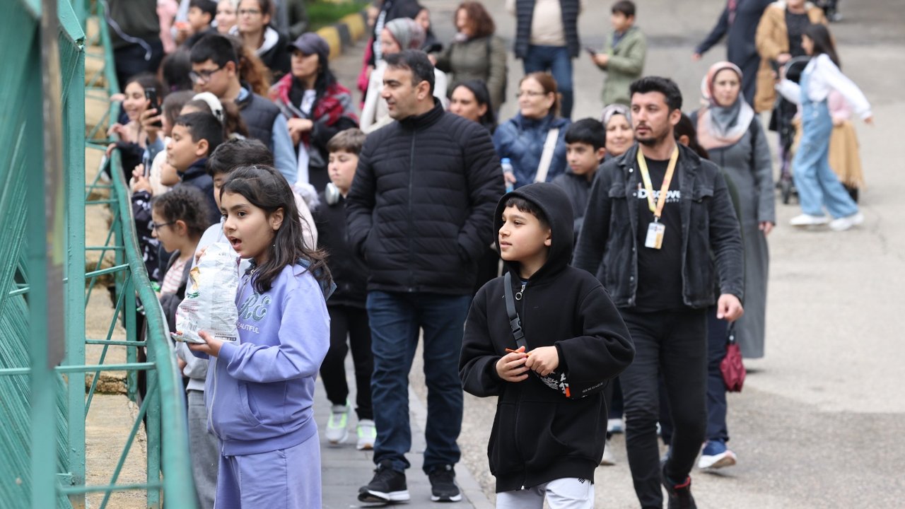 Üç Ayda 1.5 Milyon Kişinin Ziyaret Ettiği Hayvanat Bahçesi2