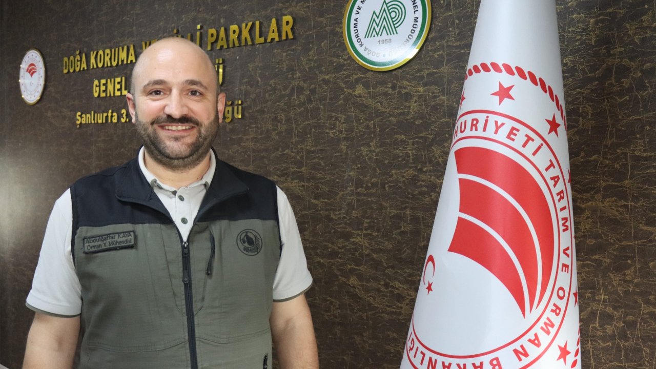 Urfa’da Ceylanlarının Envanterine Yapay Zeka Desteği3