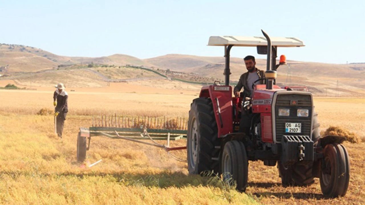 Aşırı Yağış Diyarbakır’da Mercimek Üretimini Vurdu!