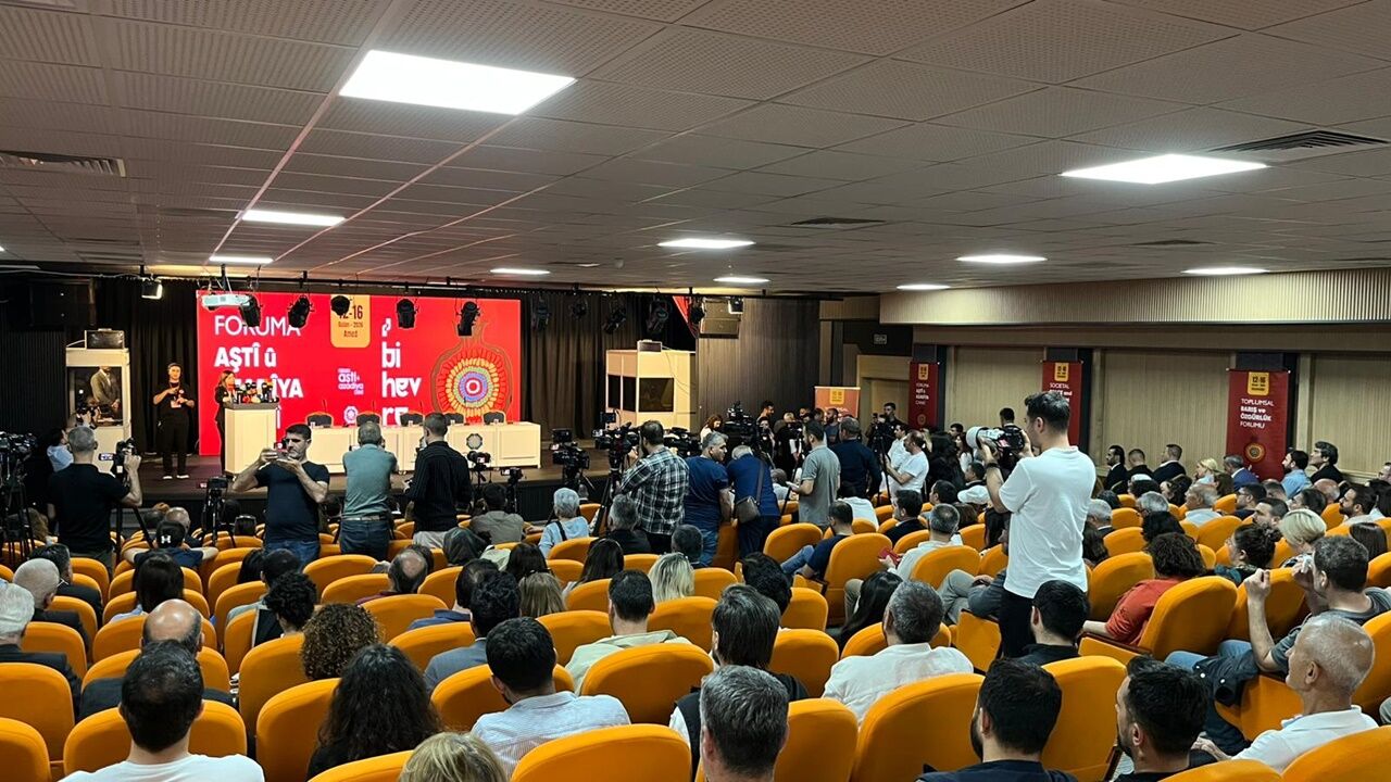 Diyarbakir Baris Toplanti