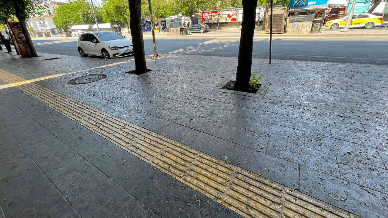 Diyarbakır Ofis Semtinde Dut Çilesi3