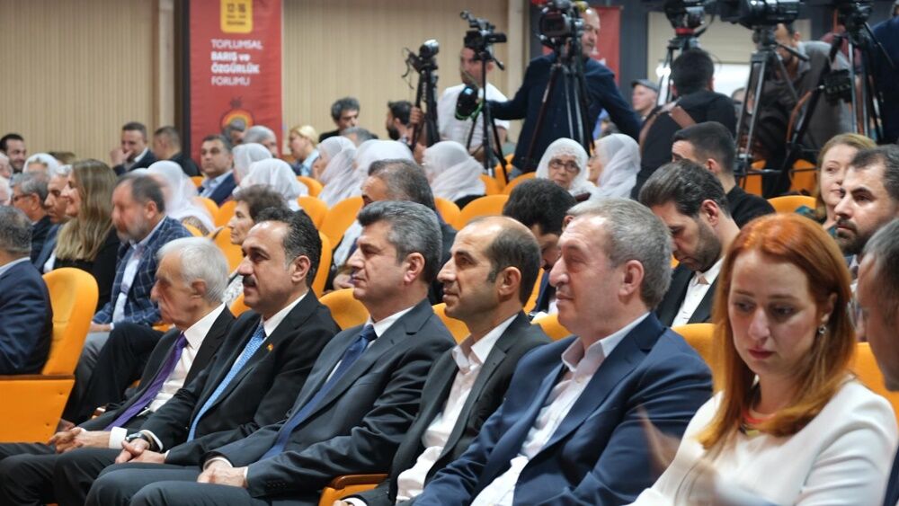 Diyarbakir Toplanti Baris