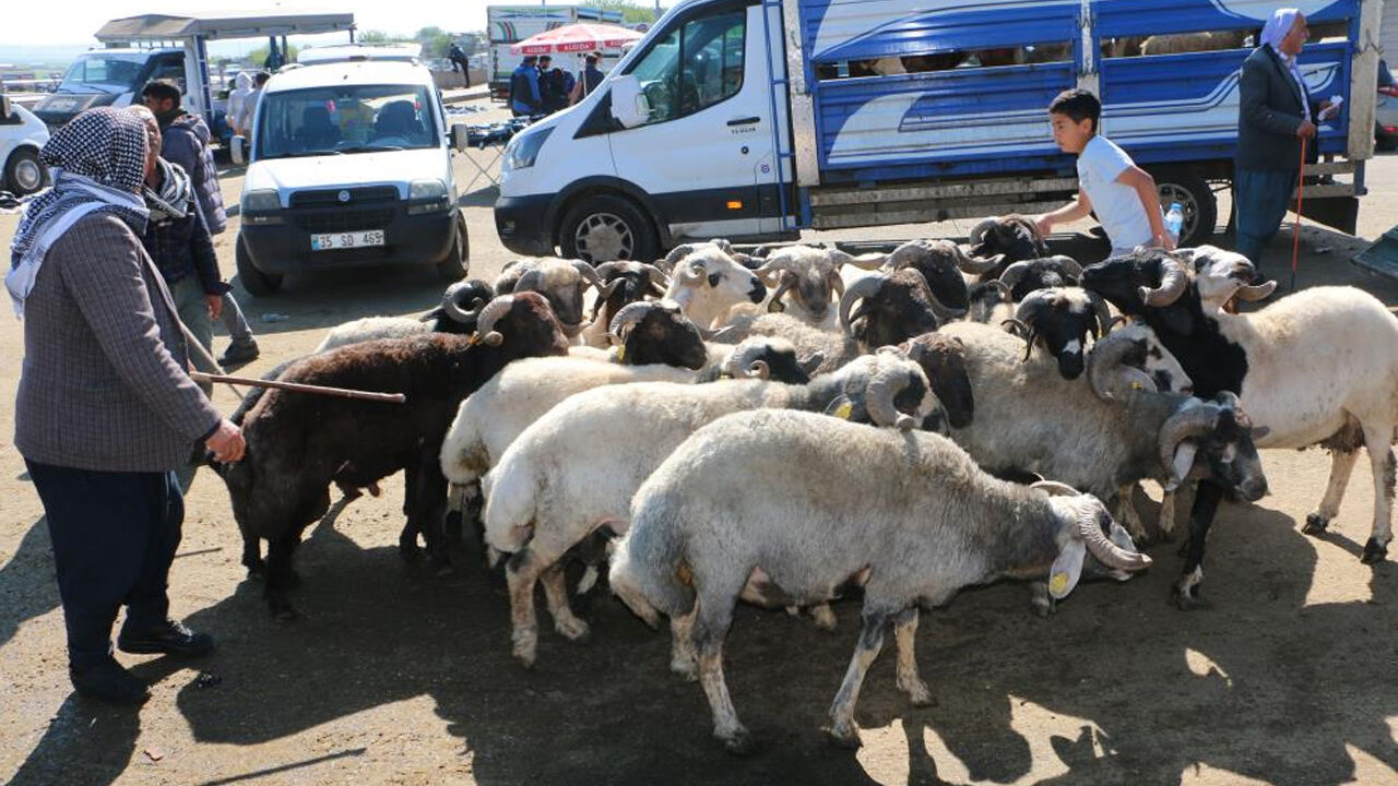 Diyarbakır'da Kurbanlık Hareketliliği