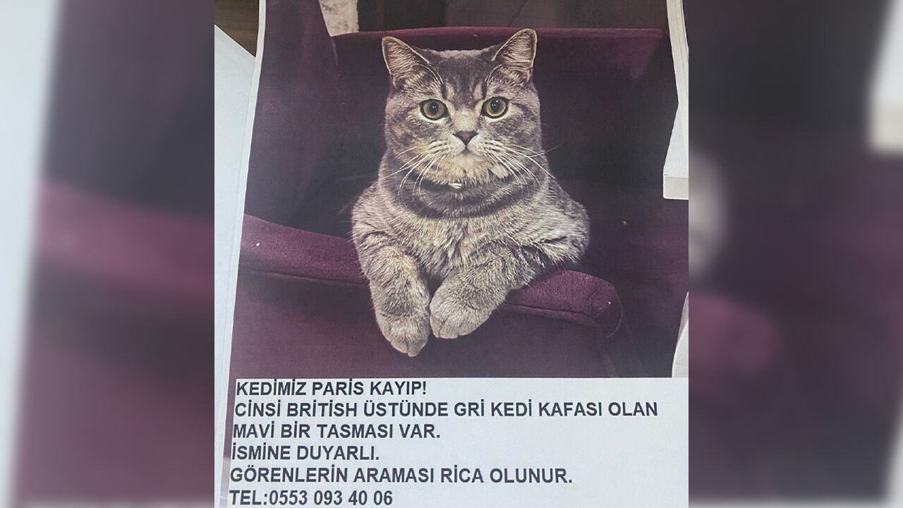 Diyarbakır’da Paris Seferberliği!4